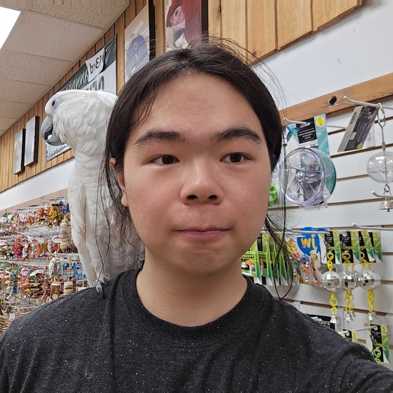 Hang Li